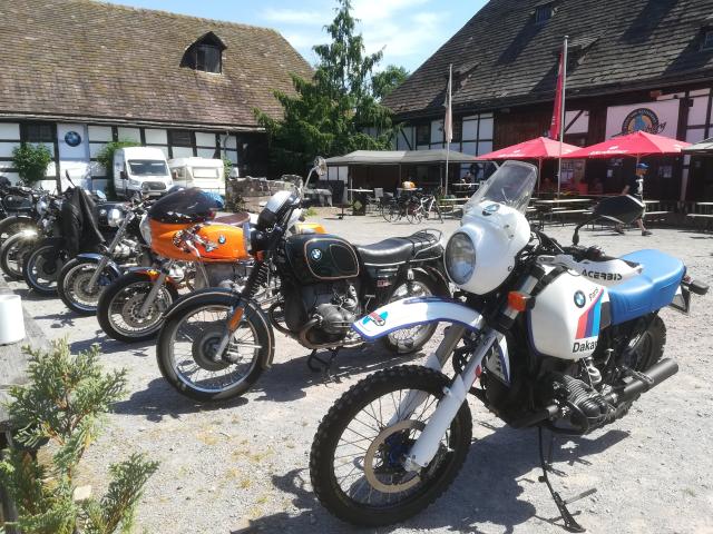 Boxerkunst-Treffen 2020 auf der Tonenburg