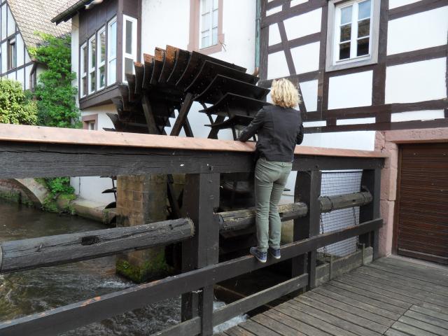 Steffi macht Turnbungen