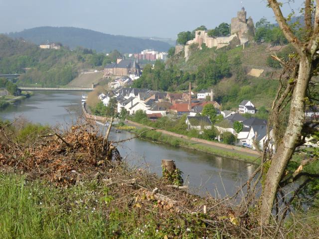  der Blick auf Saarburg