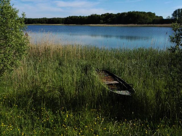 am Lac de Madine