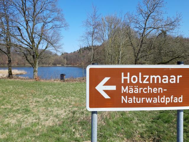 Hier gehts zum Holzmaar