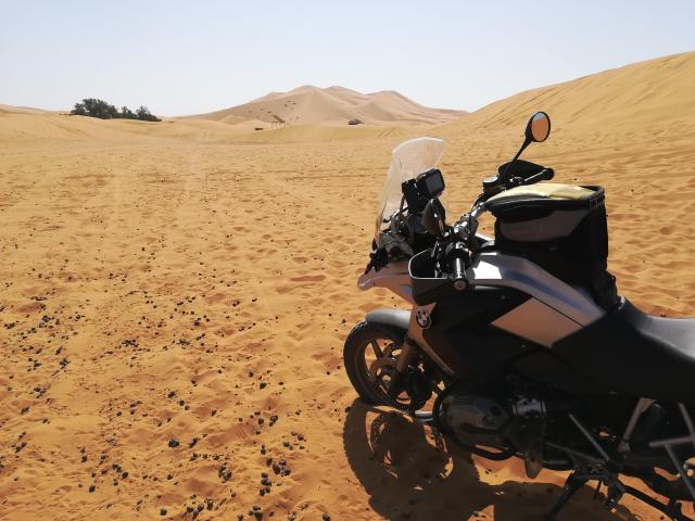 an den D&uuml;nen von Merzouga