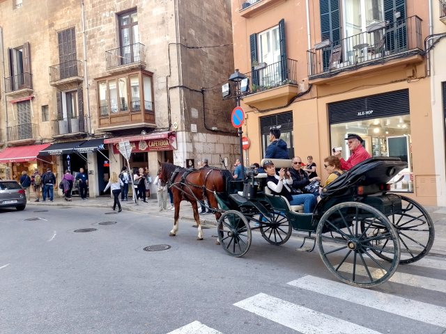 Kutschfahrten in der Altstadt von Palma