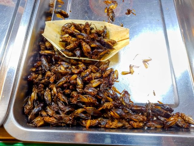 Knusprige Insekten, Larven und anderes gegrilltes Krabbelzeugs scheinen eine ganz besonders leckere Delikatesse zu sein.