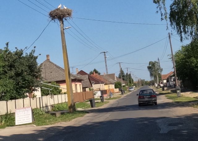Die Landschaft bleibt flach. Die Straßen sind teils holprig, die Orte klein und verstreut. 