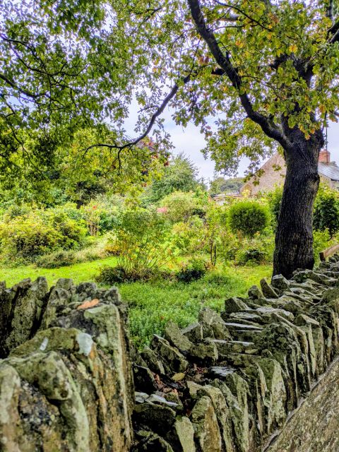 die grne Insel Irland