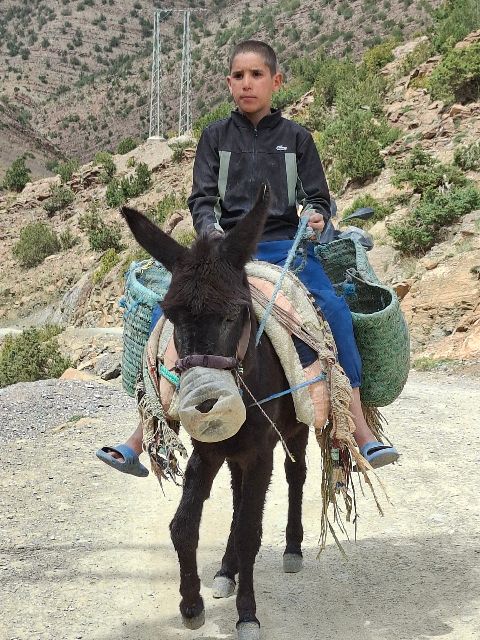 ein Junge auf einem Esel