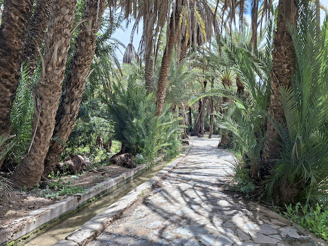 Bei Tiout legten wir eine Pause im „Espace Oasis“ ein. 