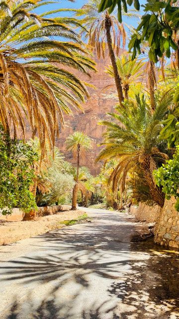 in den Gorges d’Aït Mansour.