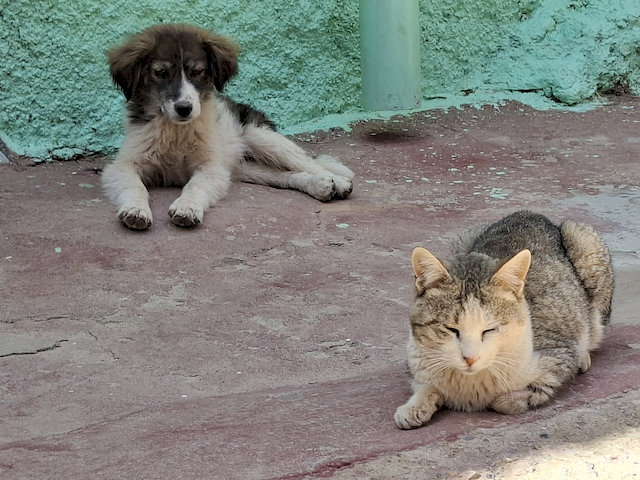 Die zwei vertragen sich gut.