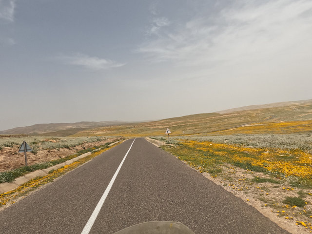 Nach einiger Zeit verändert sich die Landschaft deutlich.