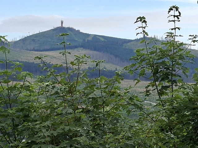 ein Blick auf den Brocken