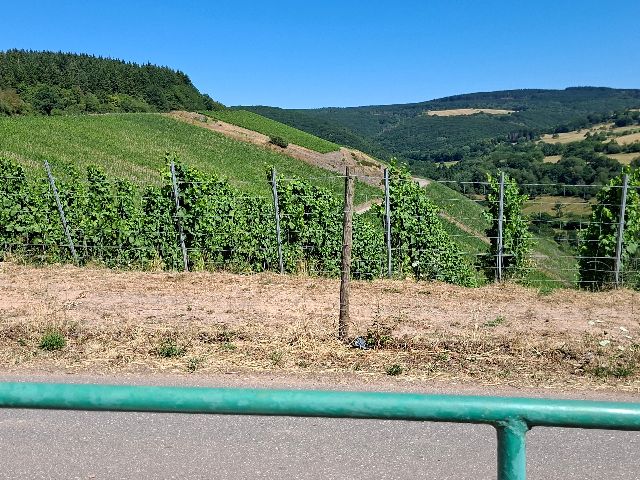 Hier in den Hängen gab es bis 1990 ca. 12 km Gleise für die Feldbahn