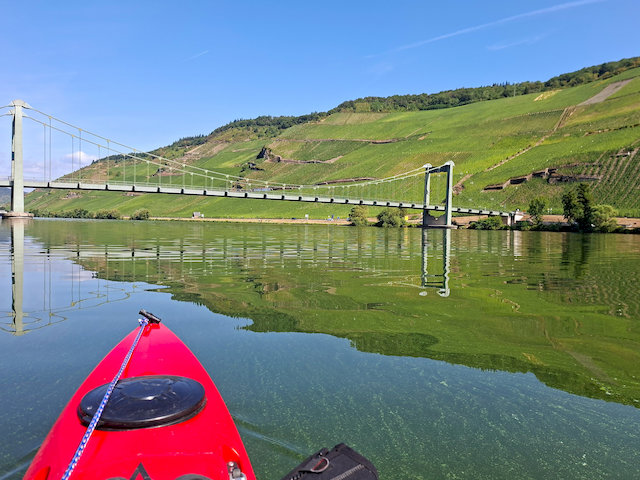 unter der einzigen Hängeseilbrücke der Mosel bei Wehlen