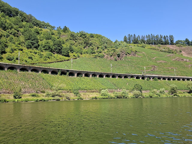 20260725_141100.jpg