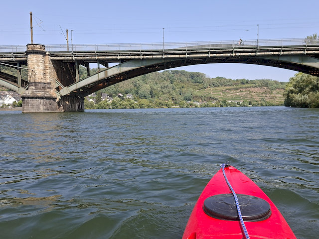 20260730_114920.jpg