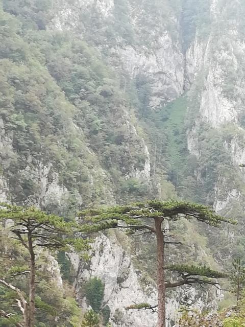 in der Piva-Schlucht