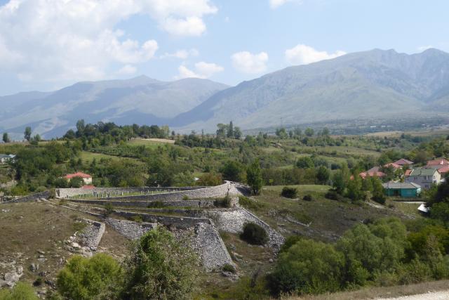 Borova