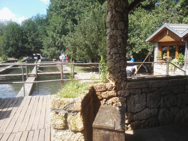 Fischbecken der FarmaSotira