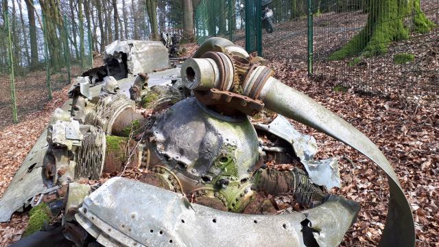 abgestrztes Weltkriegs-Flugzeug in einem Waldstck hinter Maulusmhle