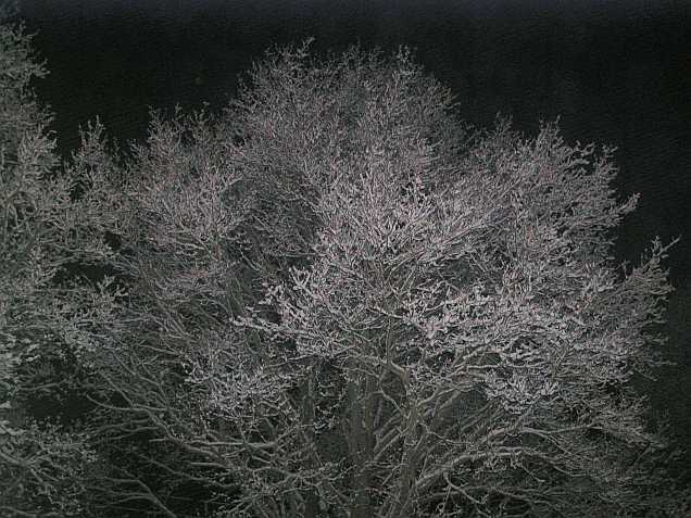 Nur ein Klick zurück zur Übersicht!