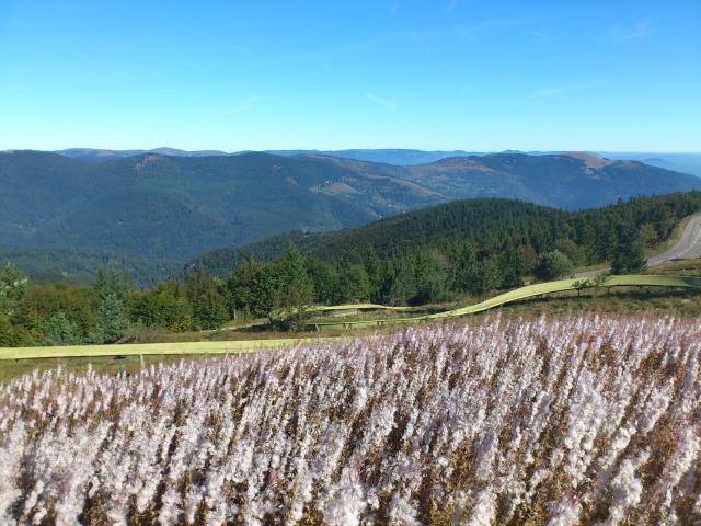 Aussicht vom Grand Ballon