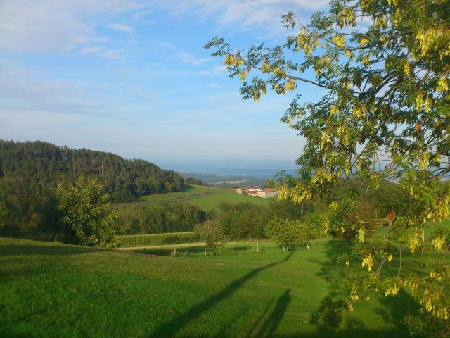bei St. Georges-en-Couzan