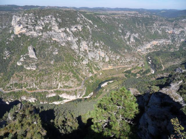 Blick in die Tarn-Schlucht