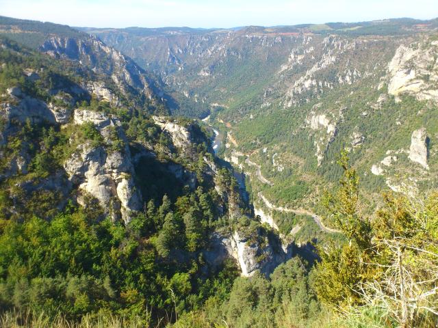 Blick in die Tarn-Schlucht