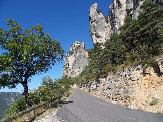 im Nationalpark Gorge-du-Tarn