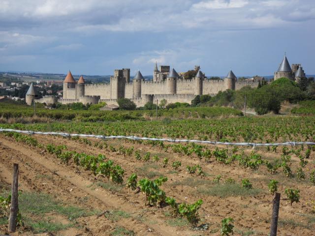 Blick auf Carcassonne