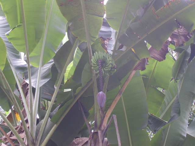 Nur ein Klick zur bersicht!