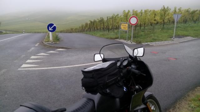 an  den Weinfelder bei Dreiborn 