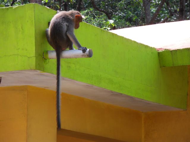 beim Restaurant am Thenmala Dam