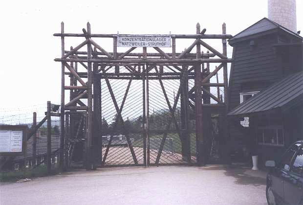 Nur ein Klick zur&uuml;ck zur Bild&uuml;bersicht !