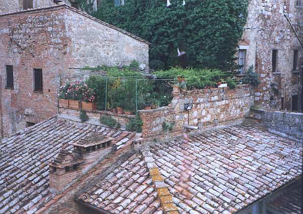 Nur ein Klick zur&uuml;ck zur Bild&uuml;bersicht !