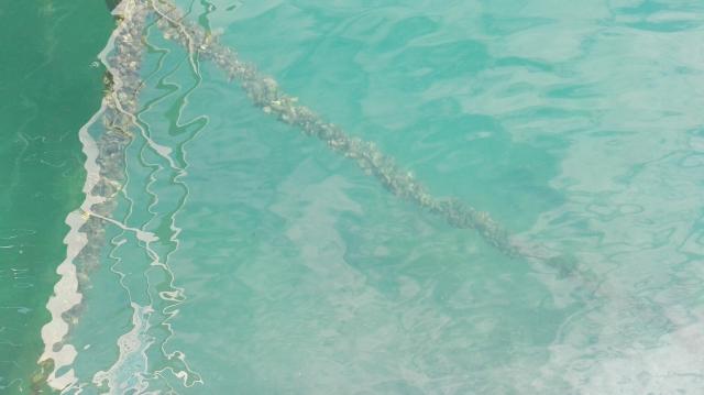 Wasserspiegelungen, Mali Lošinj