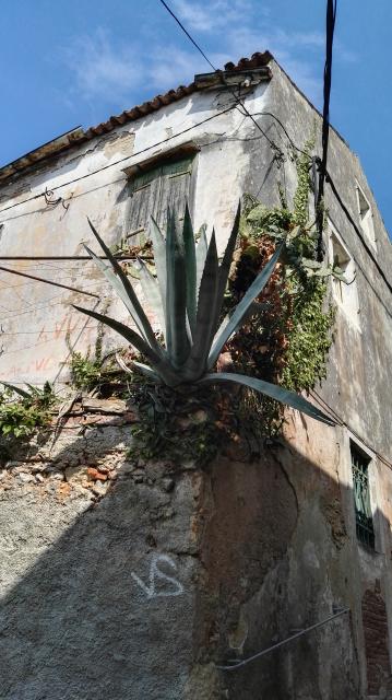 Ansichten in Mali Lošinj
