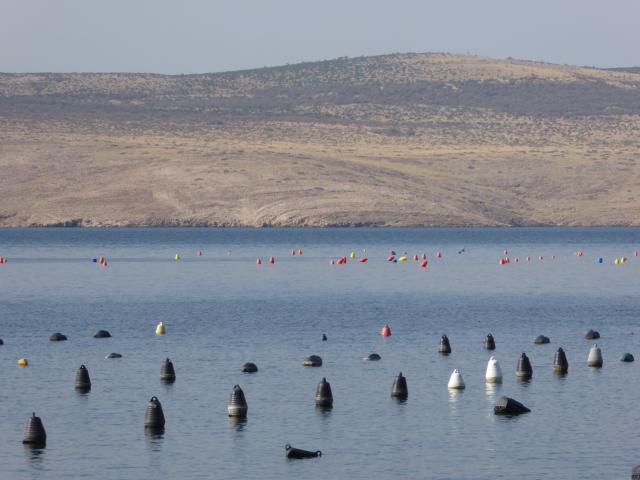 bunte Bojen vor der dalmatischen Küste