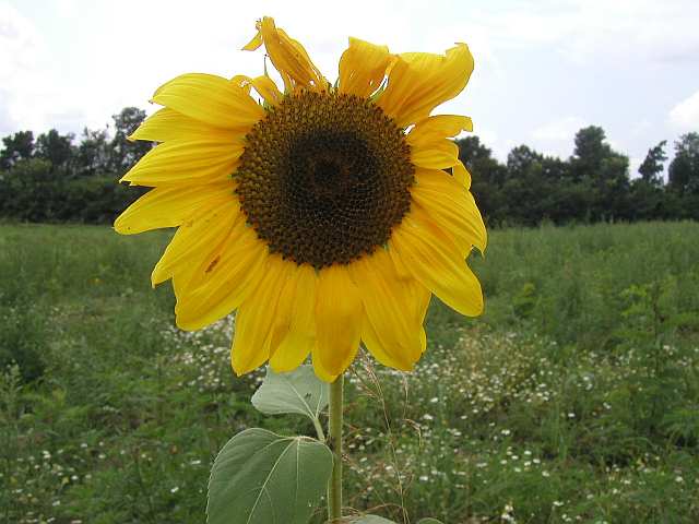 auf der Fahrt durch die Slowakei
