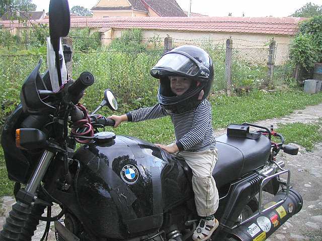 der Jüngste der Familie Pal