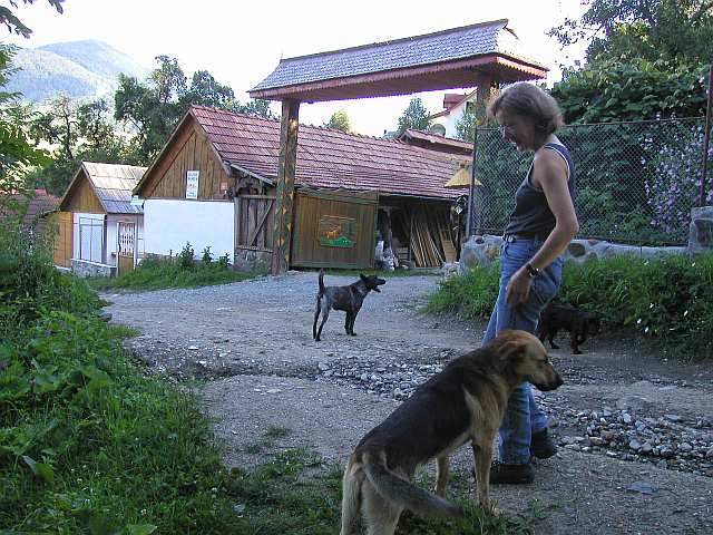 vor "Wittmanns Hütte"