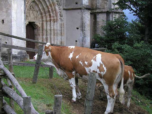 vor der Wolfgangskirche