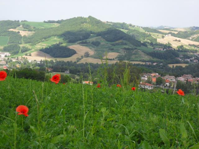 Toskana-Impressionen