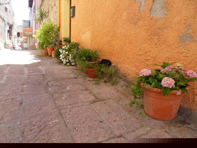 Altstadtgasse in Castelsardo