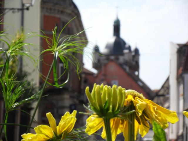 Spaziergang durch Selestat