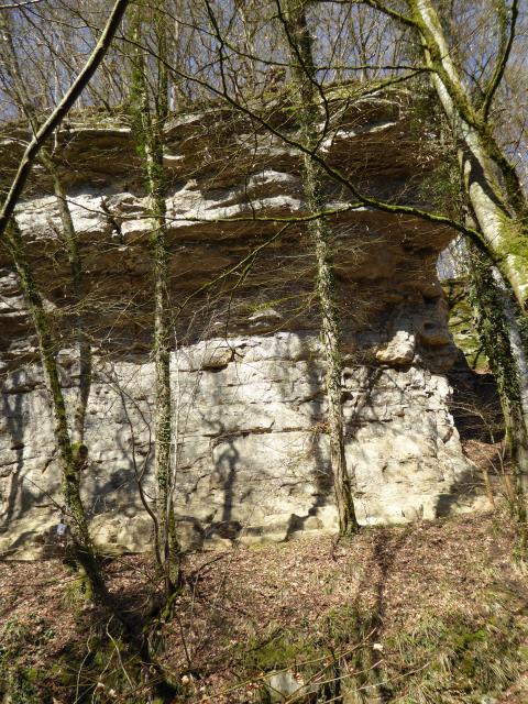 Die Landschaft aus Sandsteinfelsen verdankt ihr eigentmliches Aussehen der ber Jahrtausende wirkenden Erosion, ... 
