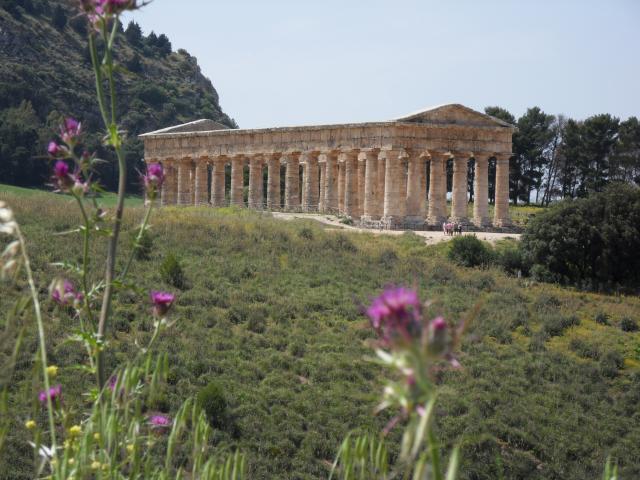 Tempel in Segesta