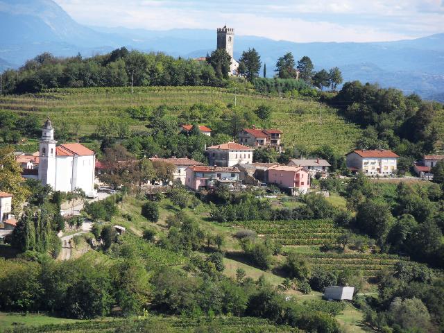 Wein- und Obstbau in Slowenien