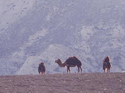 in der Festung Anamur